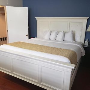 One-Bedroom Studio